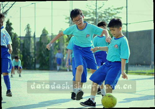 柱状图与折线图抽象展示数据趋势对比